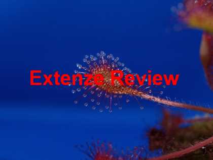 Extenze Extended Release Maximum Strength Male Enhancement Reviews